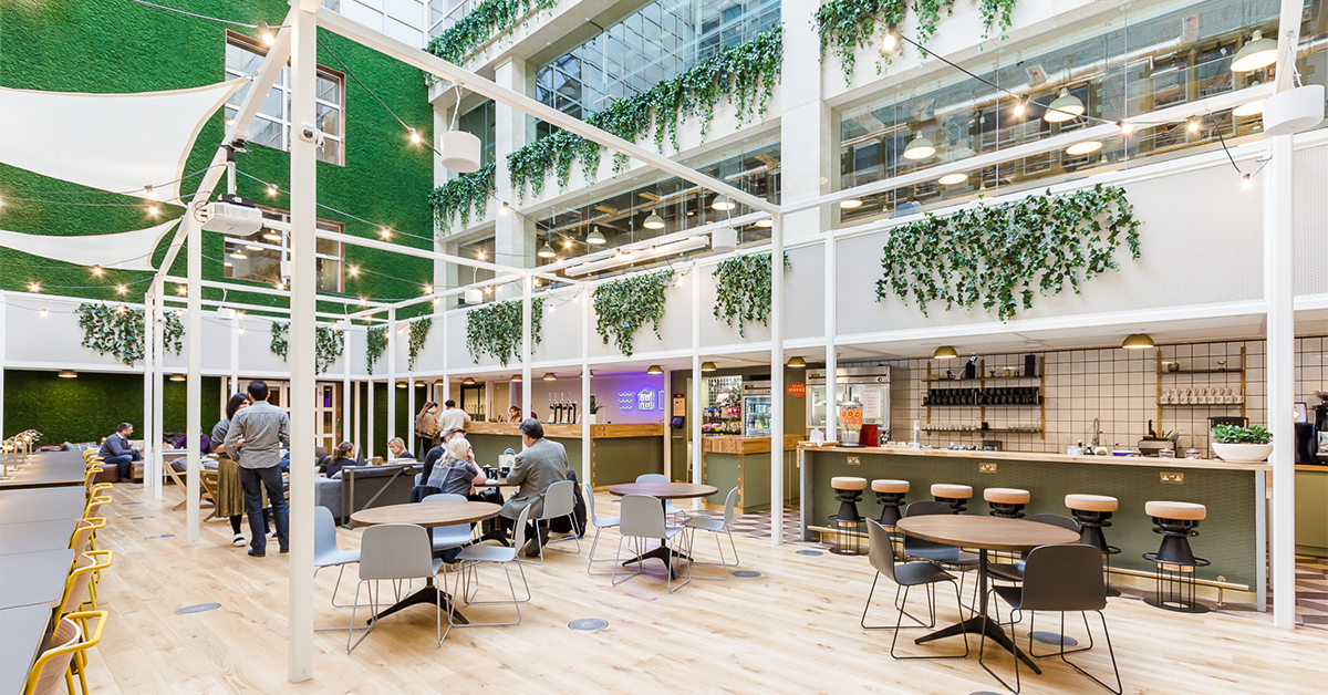 How to Futureproof Your Office with Sustainability - Oktra