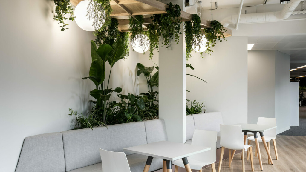 Gallery image with a fresh perspective