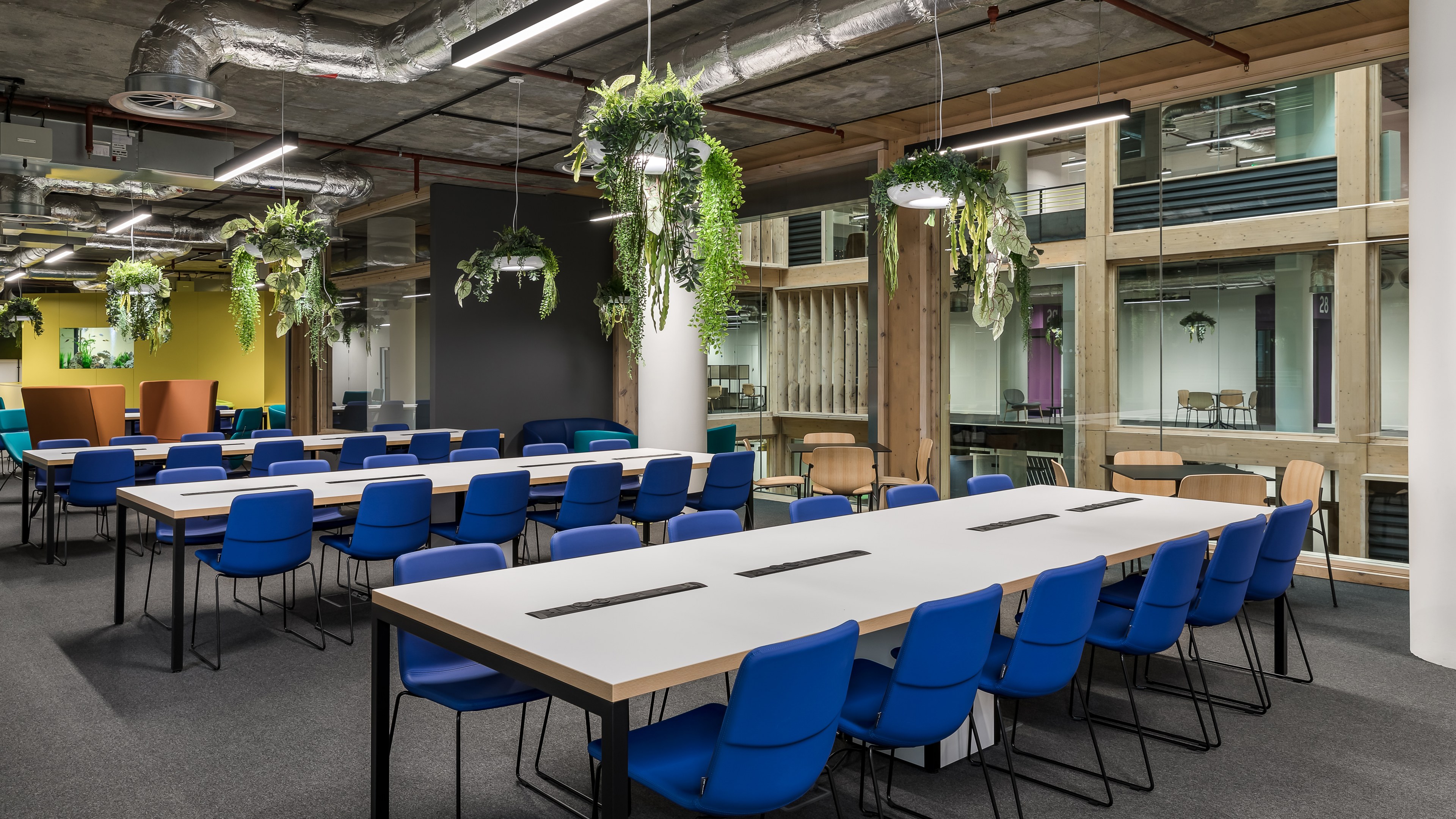 Designing Spaces for Higher Education: 10 Key Principles – Oktra