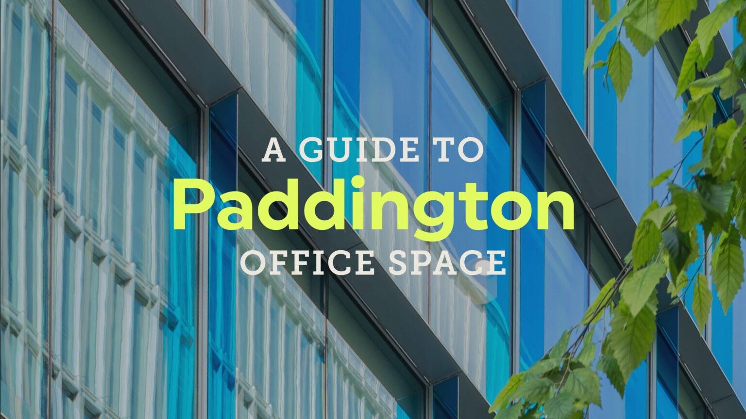 Paddington_Thumbnail-aspect-ratio-3840-2160